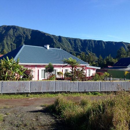 L'Echelle Bed & Breakfast La Plaine des Palmistes Eksteriør bilde